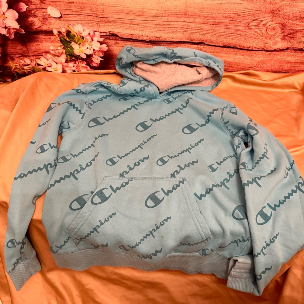 Champion Logo Hoodie Pullover Sweatshirt Blue Size L Athletic Streetwear
